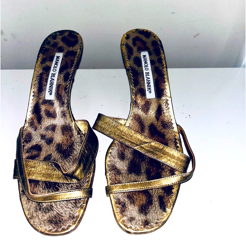 Manolo Blahnik Kitten Heel